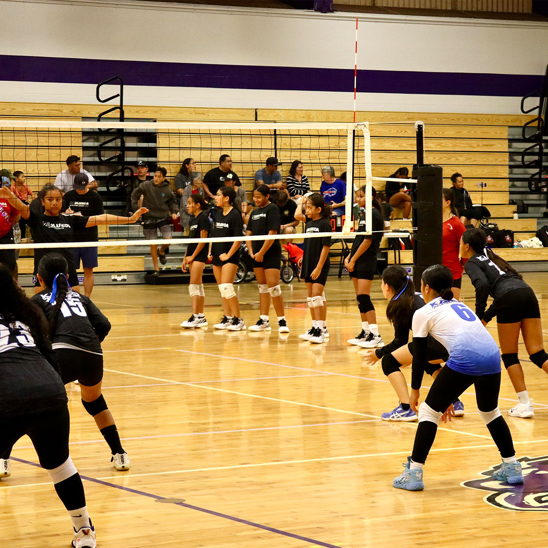 kakoo volleyball academy